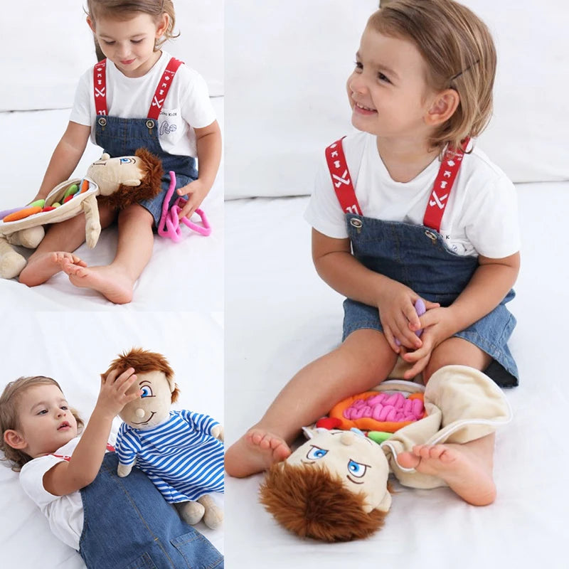 Kid 3D Puzzle Human Body  Model Anatomy Plush Toy