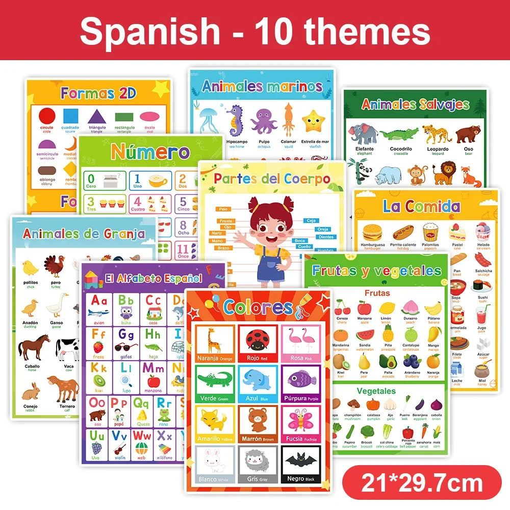 Kids Learning French Korean Spanish English Big Cards