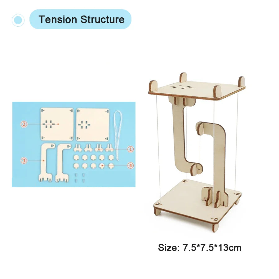 DIY Physical Model Science Experiment Educational Toy Handmade