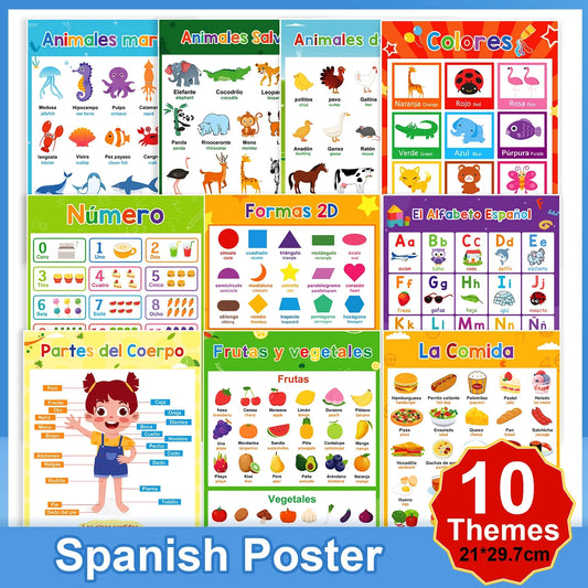 Kids Learning French Korean Spanish English Big Cards