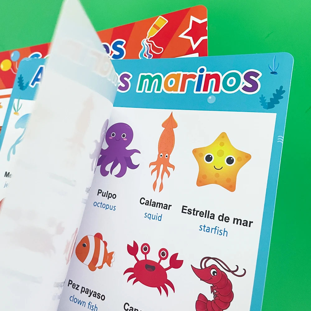 Kids Learning French Korean Spanish English Big Cards